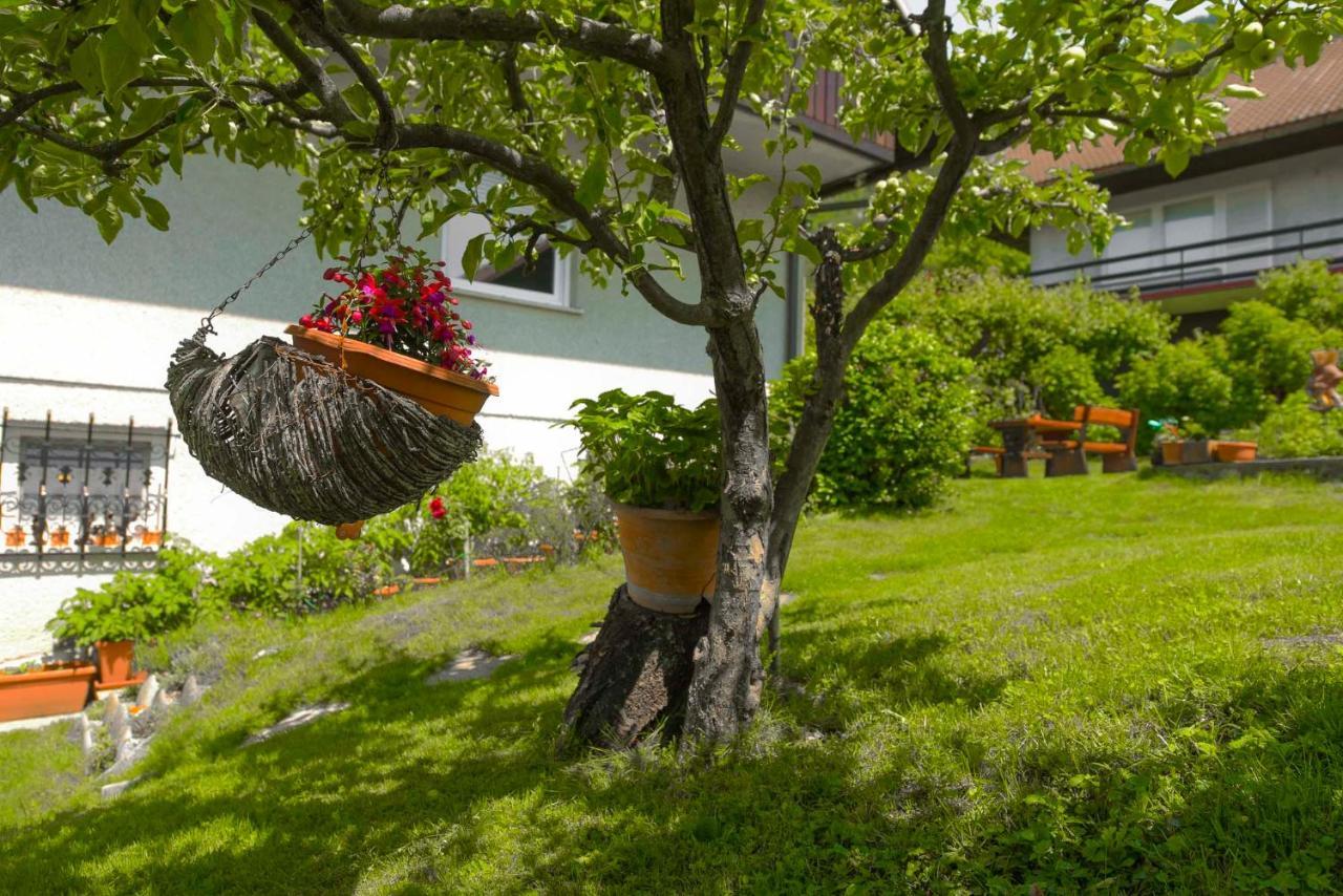 Apartments Rikli Rodine Near Bled 외부 사진